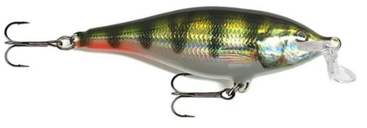 Shallow Shad Rap 07