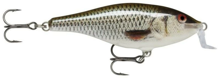 Shallow Shad Rap 07