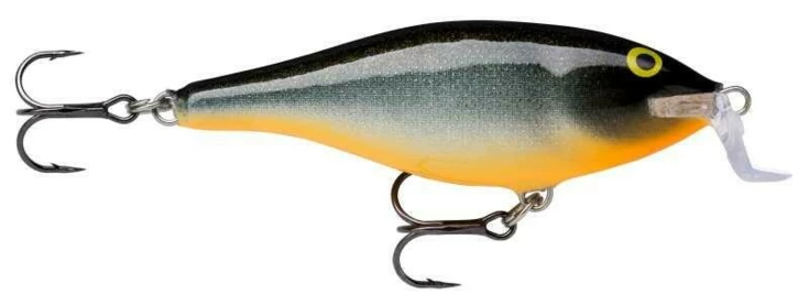 Shallow Shad Rap 07