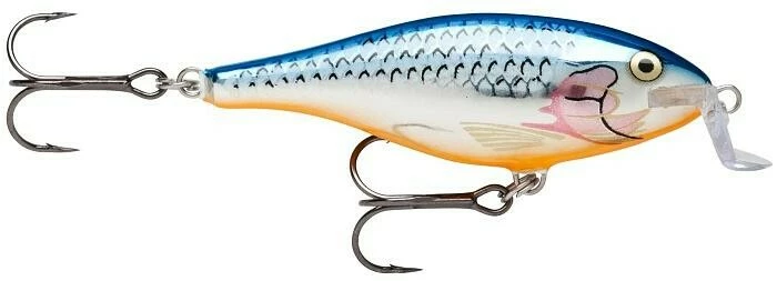 Shallow Shad Rap 07