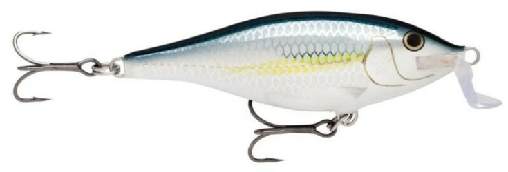 Shallow Shad Rap 07