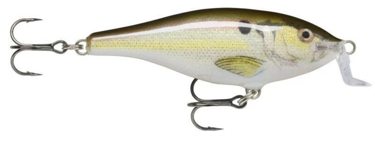 Shallow Shad Rap 07