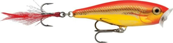 Skitter Pop Top Water Fresh 05