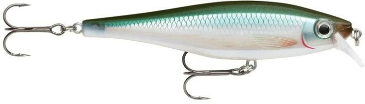 BX Minnow 07