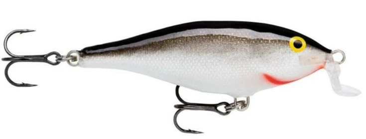 Shallow Shad Rap 05