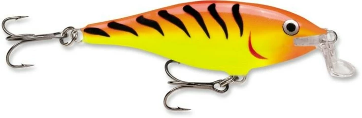 Shallow Shad Rap 05