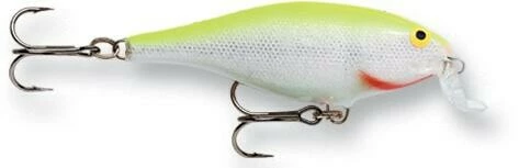 Shallow Shad Rap 05