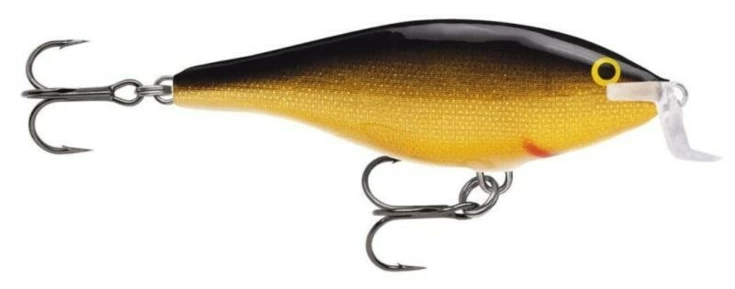 Shallow Shad Rap 05