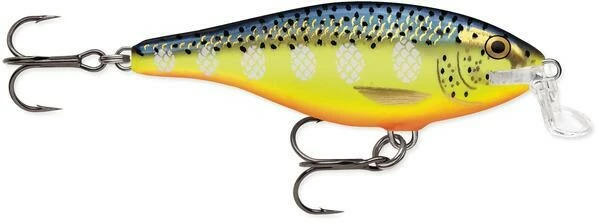 Shallow Shad Rap 05