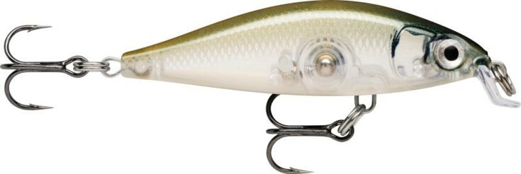 X- Light Minnow 05