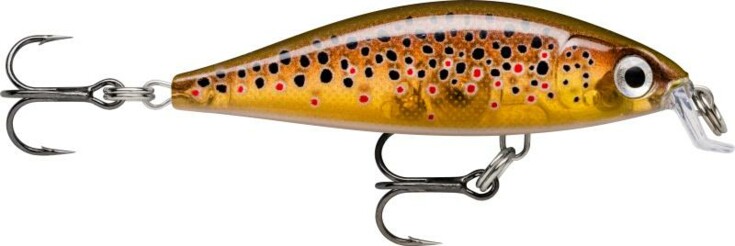 X- Light Minnow 05