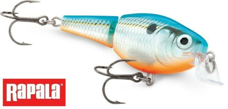 Jointed Shallow Shad Rap 07